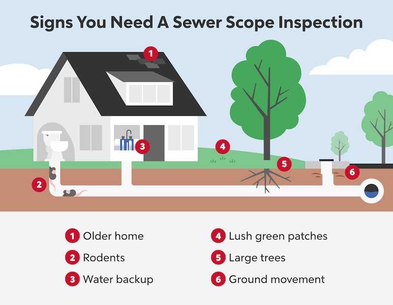 What Is A Sewer Scope Inspection Rocket Mortgage